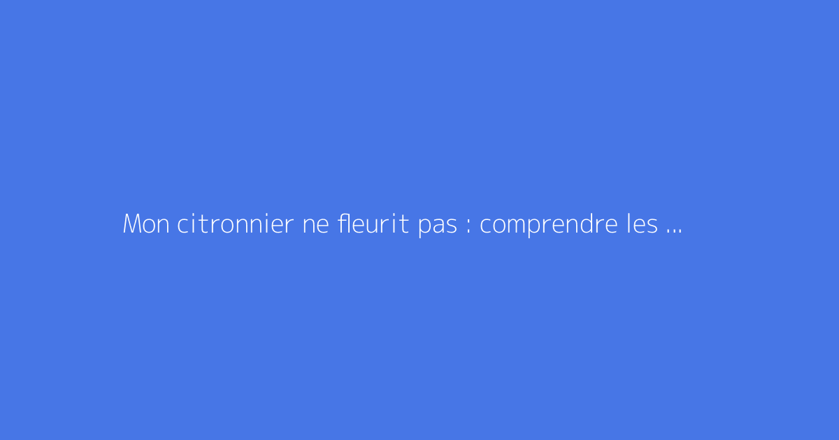 Mon citronnier ne fleurit pas : comprendre les causes et agir