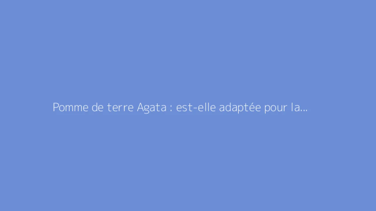 Pomme de terre Agata : est-elle adaptée pour la friture ?