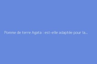 Pomme de terre Agata : est-elle adaptée pour la friture ?