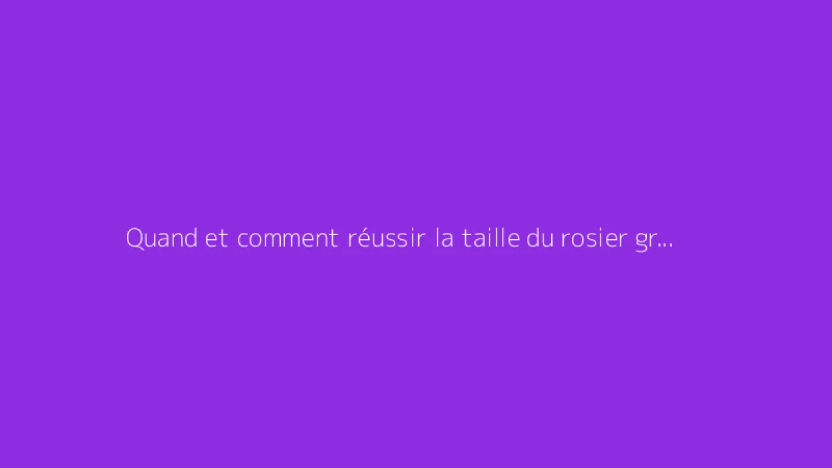 Quand et comment réussir la taille du rosier grimpant sans erreur