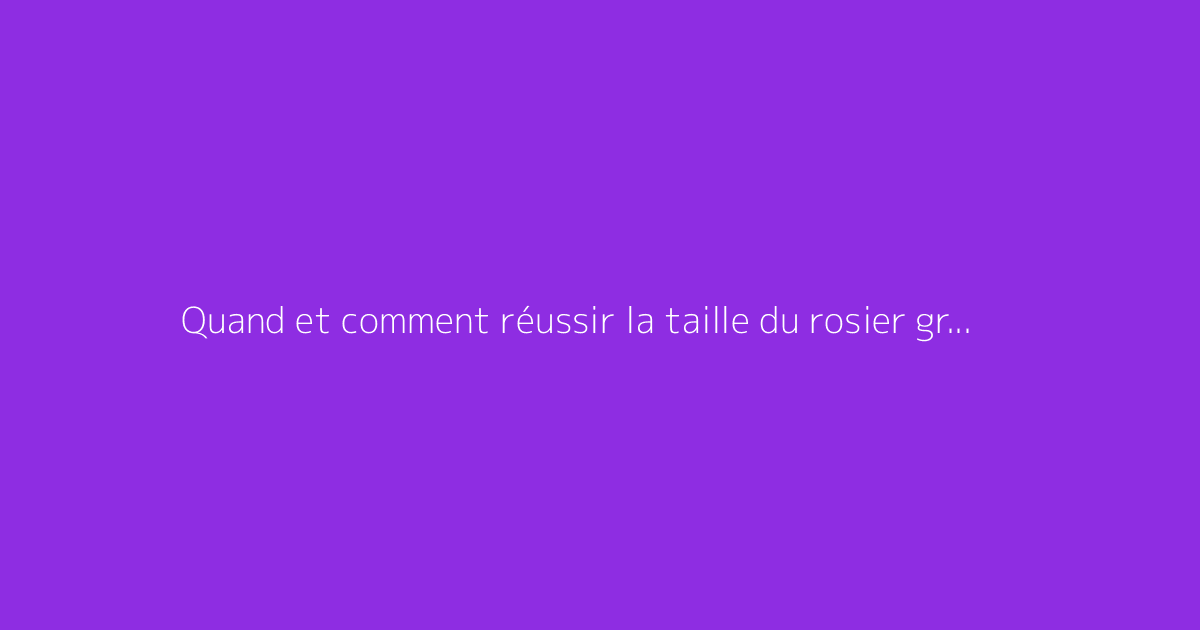 Quand et comment réussir la taille du rosier grimpant sans erreur