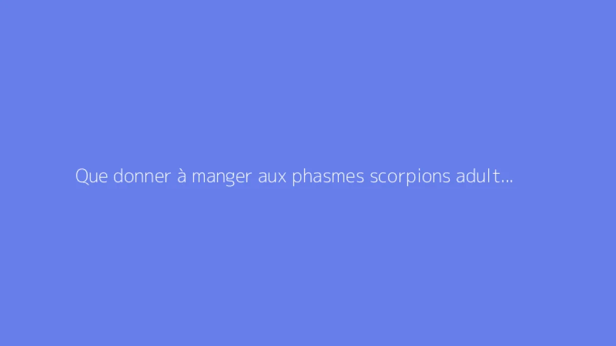 Que donner à manger aux phasmes scorpions adultes et jeunes ?