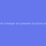 Que donner à manger aux phasmes scorpions adultes et jeunes ?