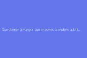 Que donner à manger aux phasmes scorpions adultes et jeunes ?