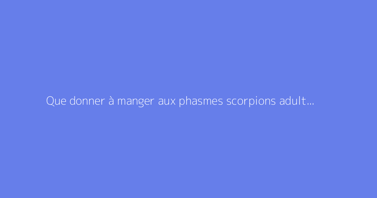 Que donner à manger aux phasmes scorpions adultes et jeunes ?