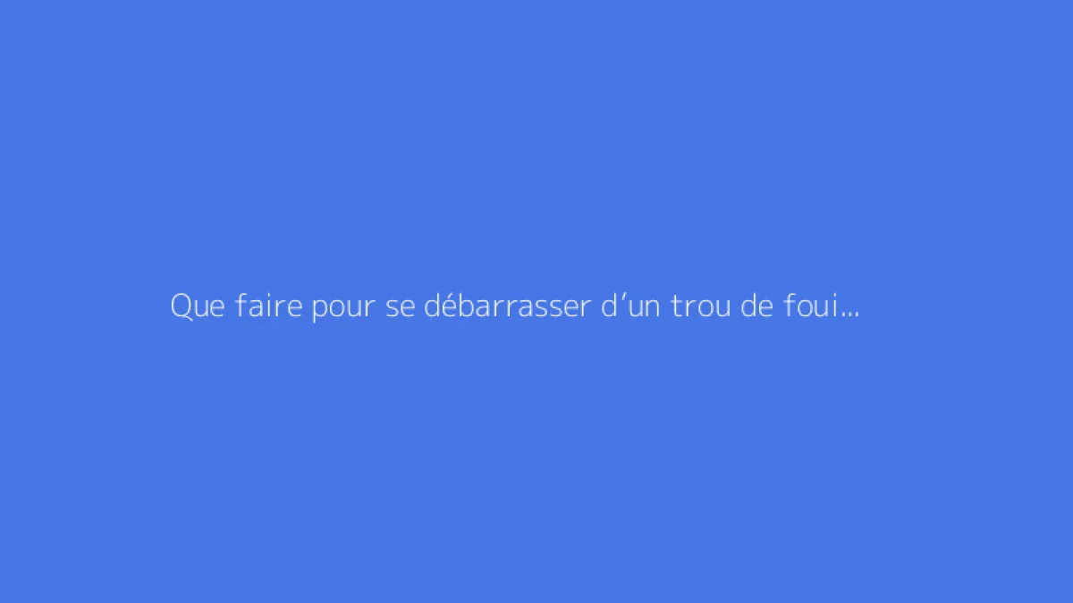 Que faire pour se débarrasser d’un trou de fouine dans son jardin ?