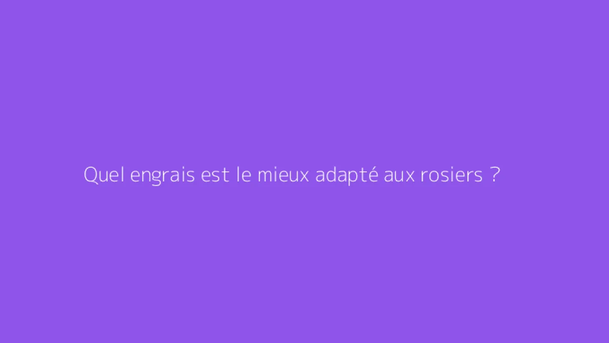 Quel engrais est le mieux adapté aux rosiers ?