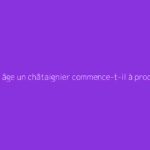 À quel âge un châtaignier commence-t-il à produire des fruits ?