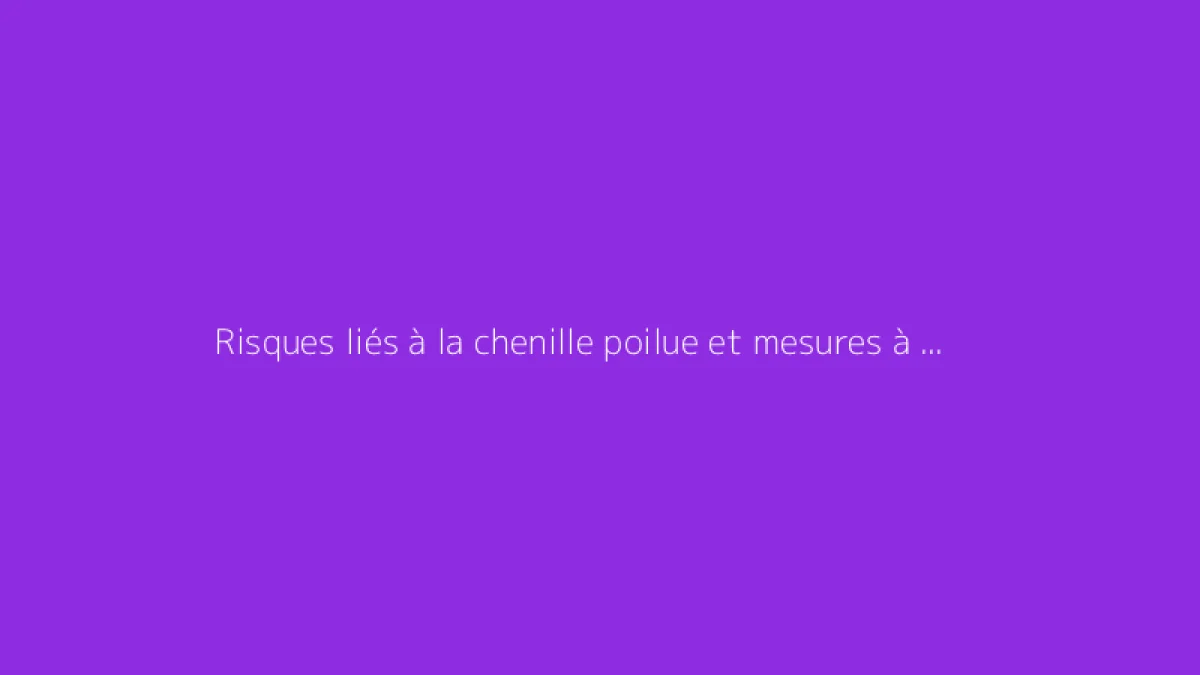 Risques liés à la chenille poilue et mesures à adopter
