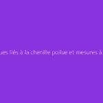 Risques liés à la chenille poilue et mesures à adopter