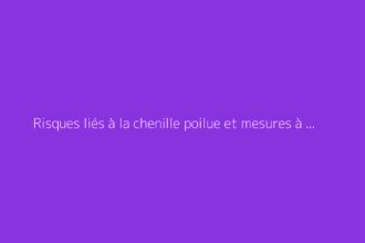 Risques liés à la chenille poilue et mesures à adopter