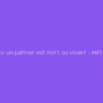 Savoir si un palmier est mort ou vivant : méthodes infaillibles