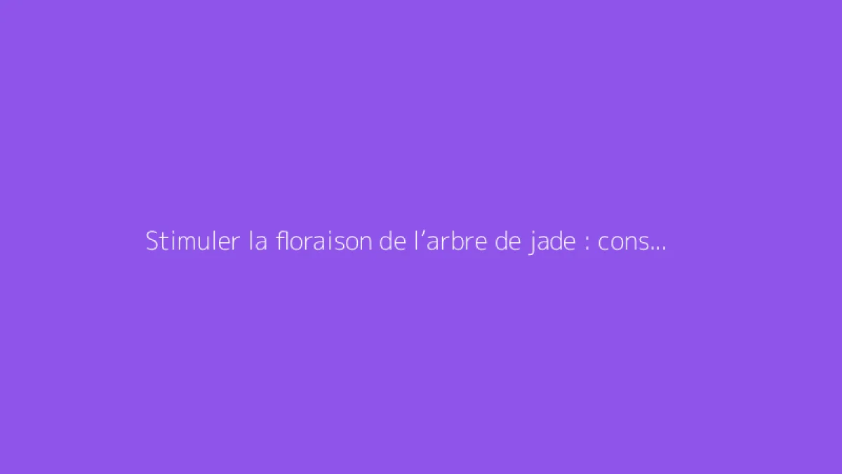 Stimuler la floraison de l’arbre de jade : conseils pratiques