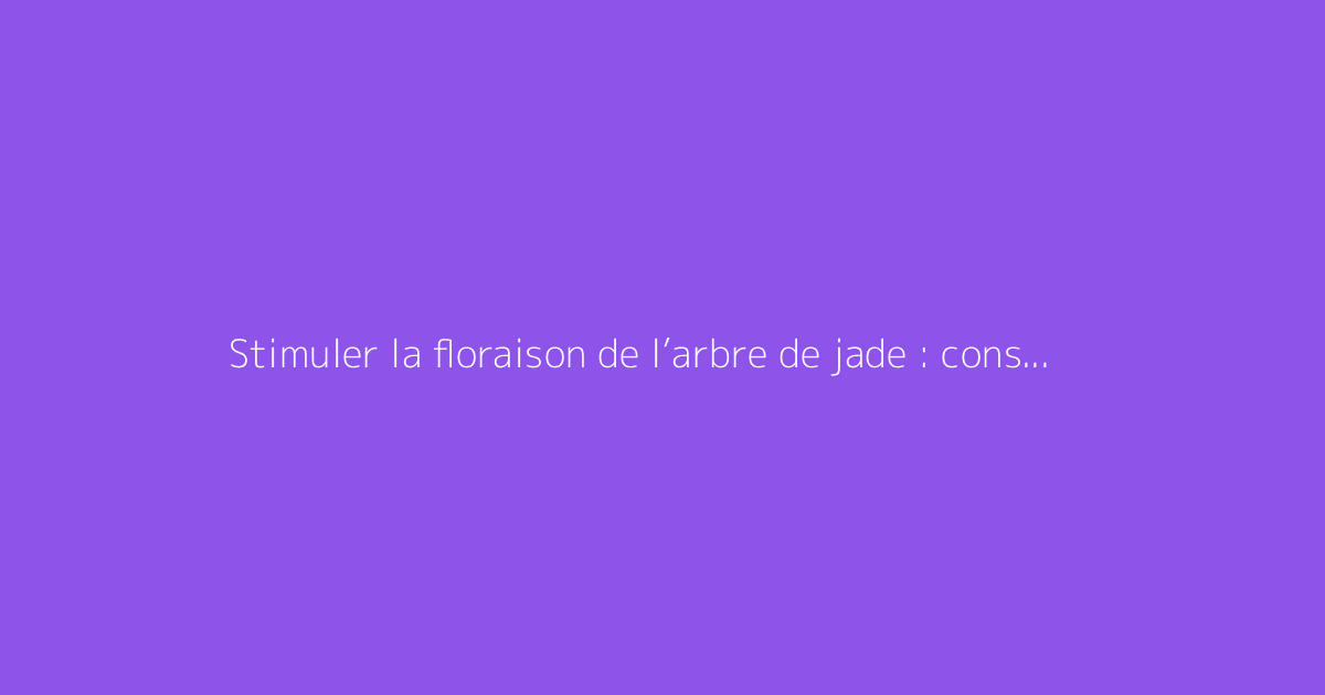 Stimuler la floraison de l’arbre de jade : conseils pratiques
