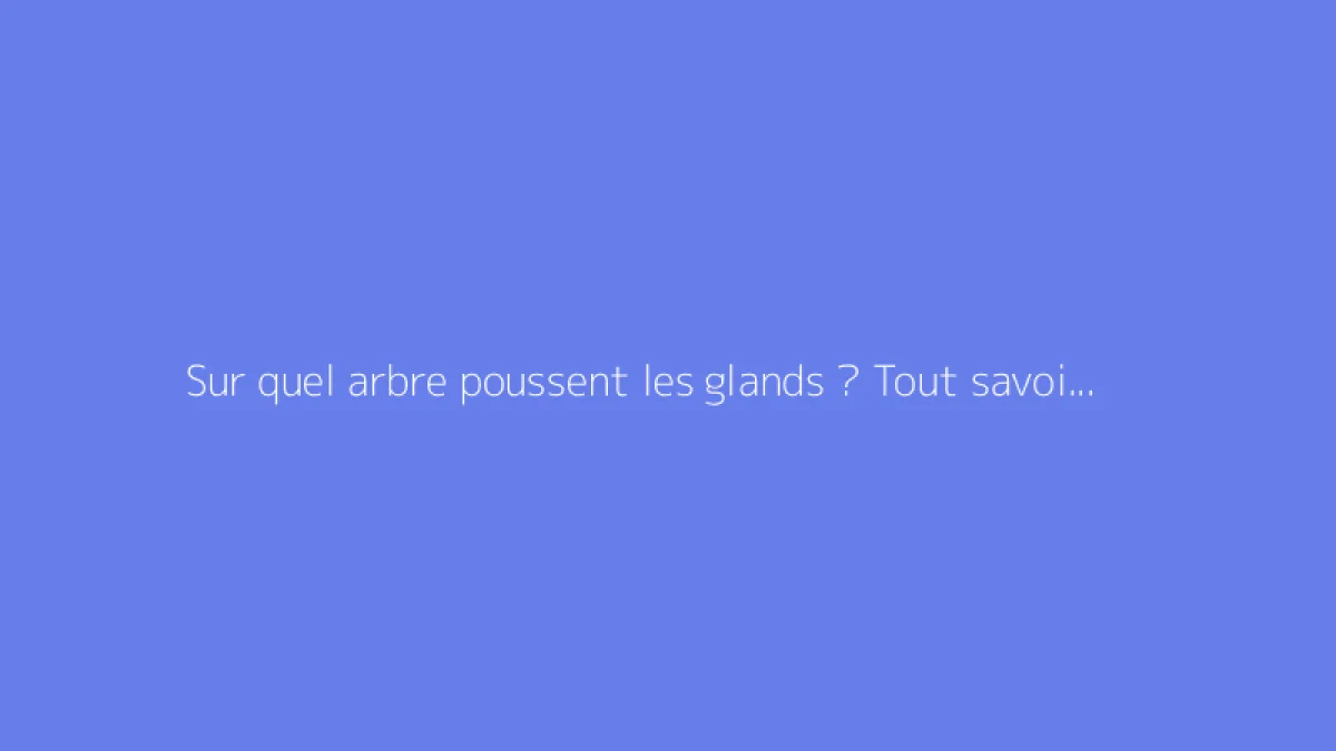 Sur quel arbre poussent les glands ? Tout savoir sur le chêne