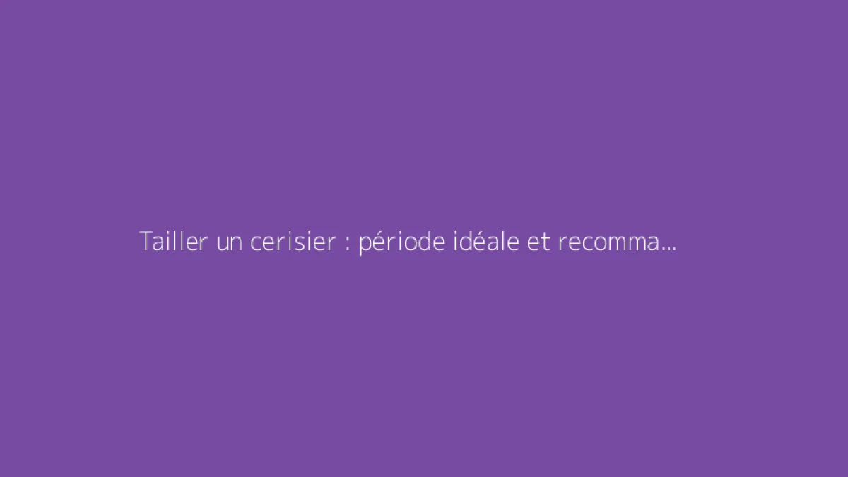 Tailler un cerisier : période idéale et recommandations pratiques