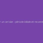 Tailler un cerisier : période idéale et recommandations pratiques