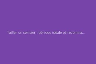 Tailler un cerisier : période idéale et recommandations pratiques