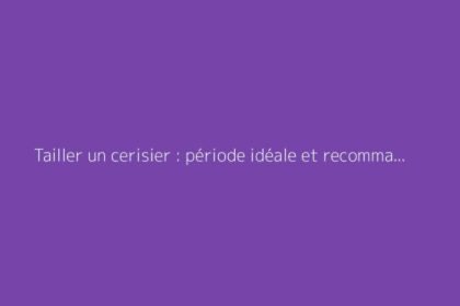 Tailler un cerisier : période idéale et recommandations pratiques