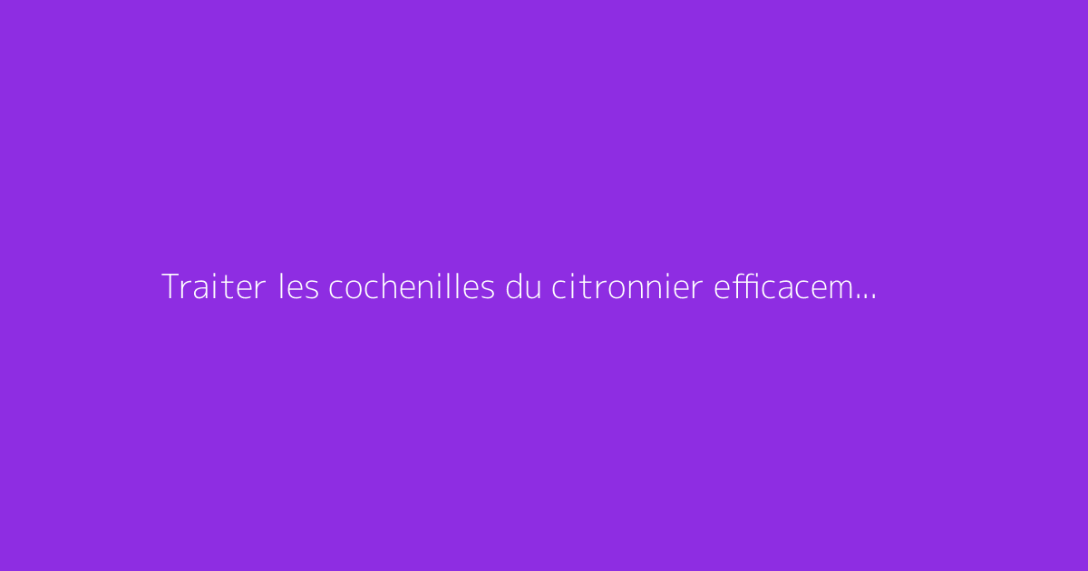 Traiter les cochenilles du citronnier efficacement avec du savon noir