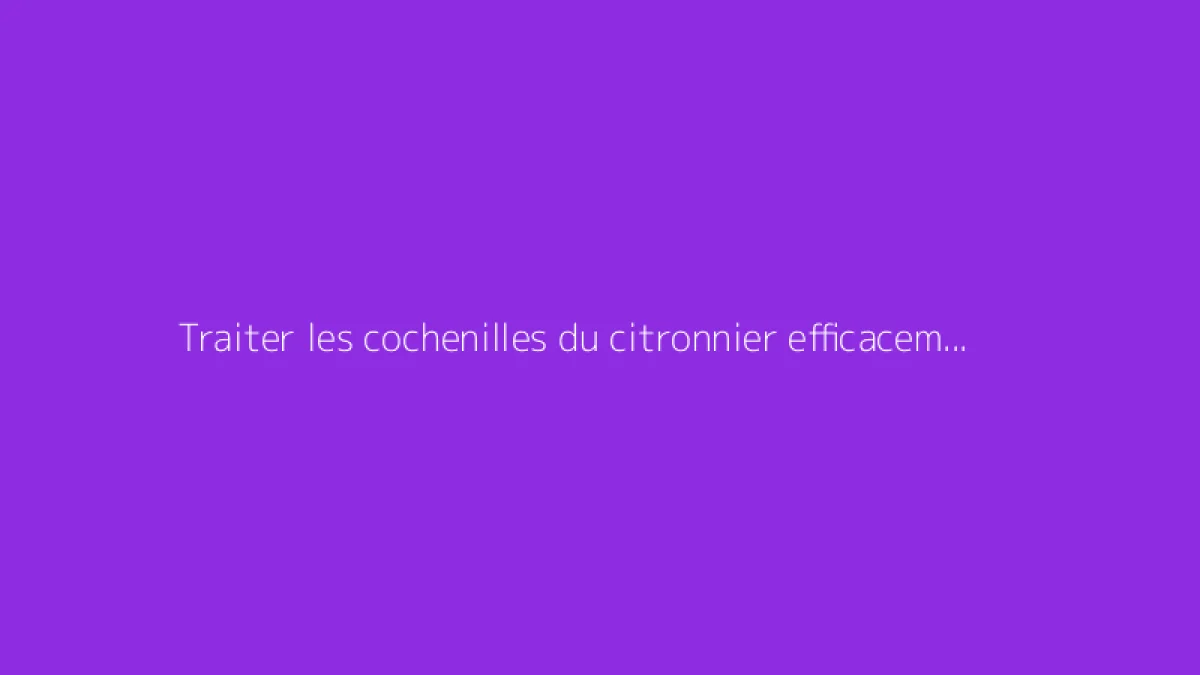 Traiter les cochenilles du citronnier efficacement avec du savon noir